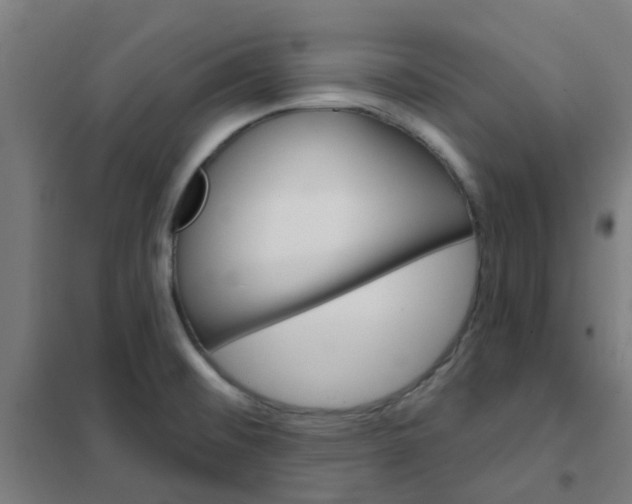 X0000101701476200807241420