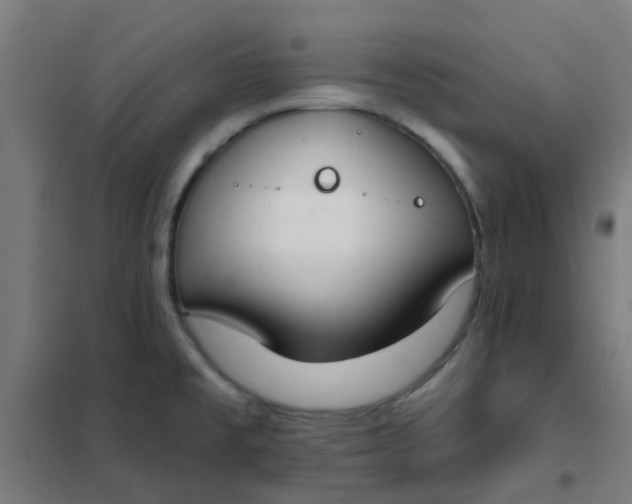 X0000101701477200807241420