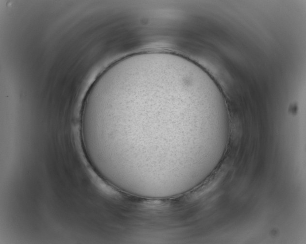 X0000101701478200807241420