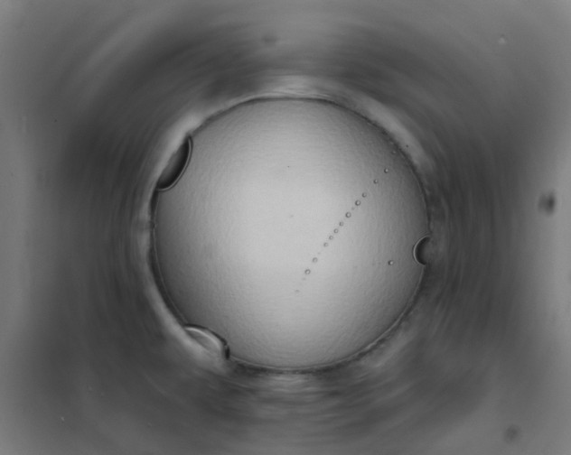 X0000101701479200807241420