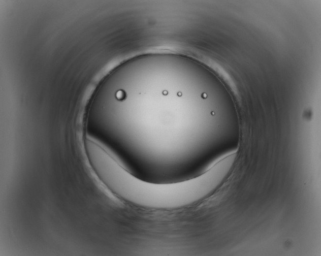 X0000101701480200807241420