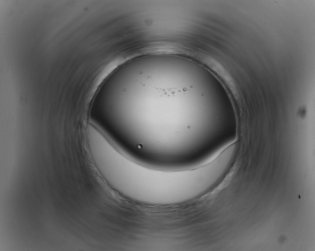 X0000101701481200807241420