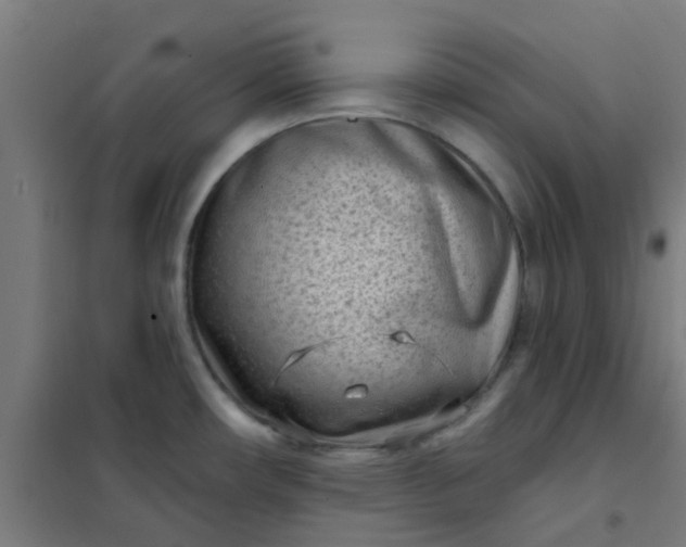 X0000101701482200807241420