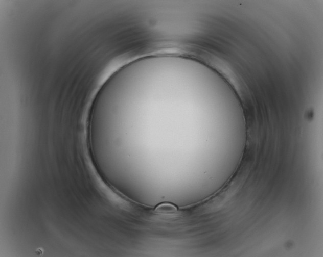 X0000101701483200807241420