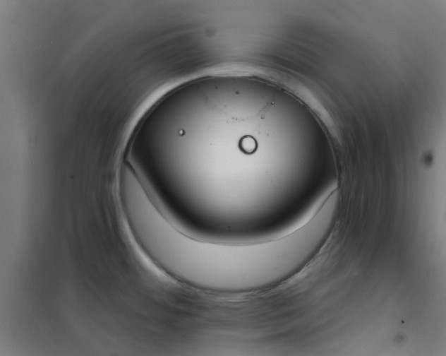 X0000101701484200807241420