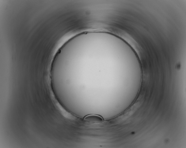 X0000101701485200807241420