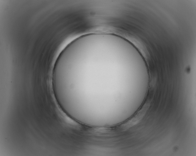 X0000101701486200807241420