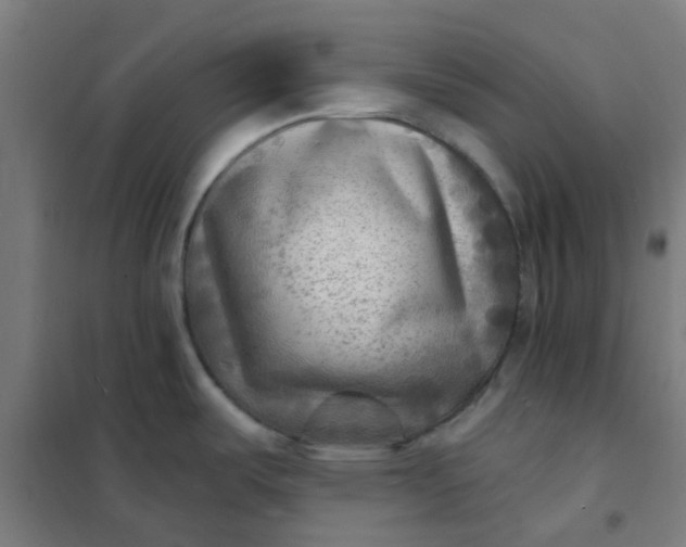 X0000101701487200807241420