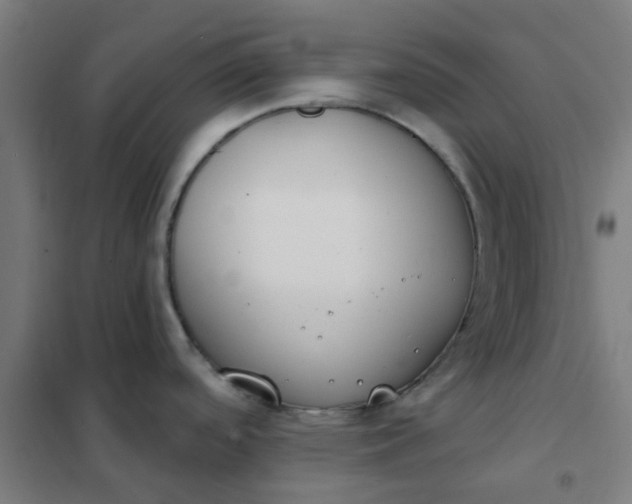 X0000101701488200807241420