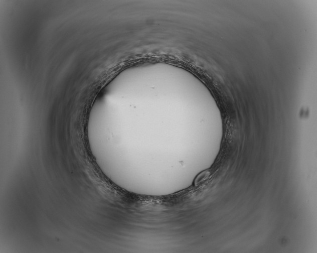 X0000101701489200807241419