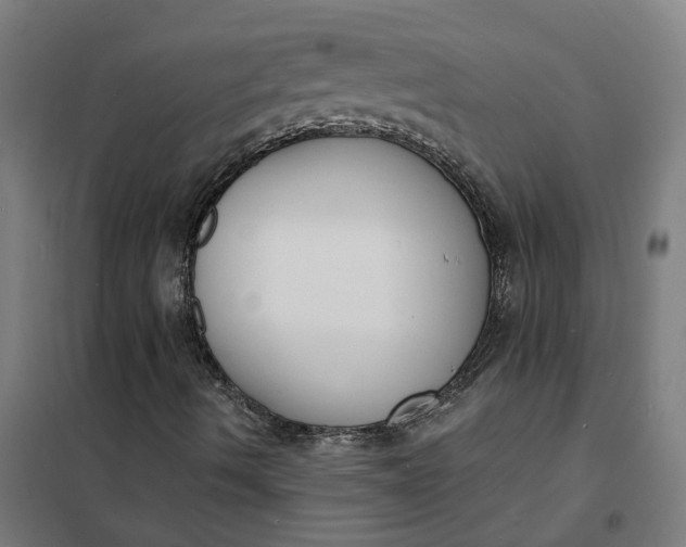 X0000101701490200807241419