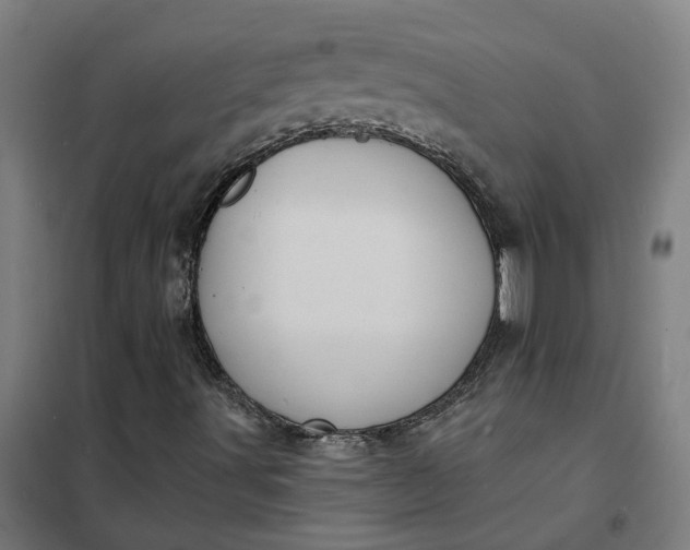 X0000101701491200807241419