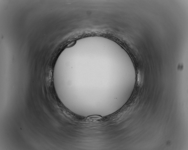 X0000101701492200807241419