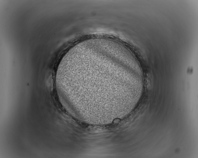 X0000101701493200807241419