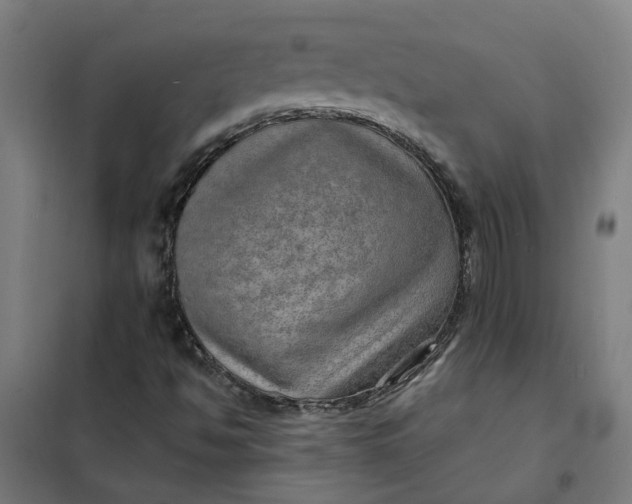 X0000101701494200807241419