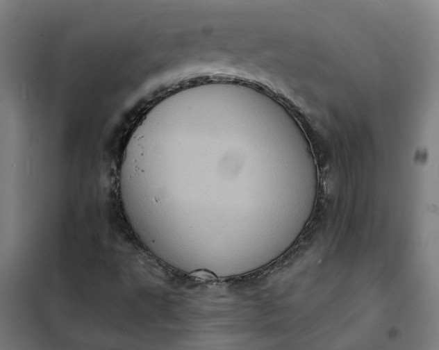 X0000101701495200807241420