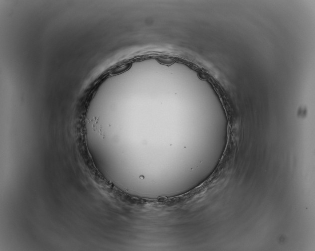 X0000101701496200807241420