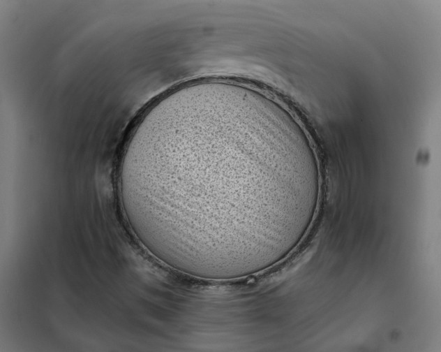 X0000101701497200807241420