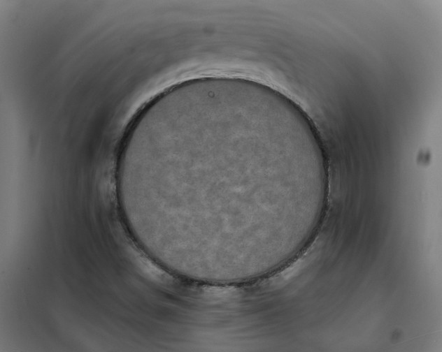 X0000101701498200807241420