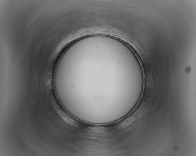 X0000101701499200807241420