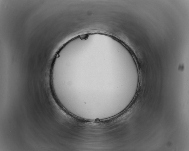 X0000101701500200807241420