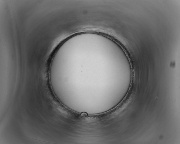 X0000101701501200807241420