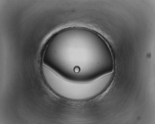 X0000101701502200807241420