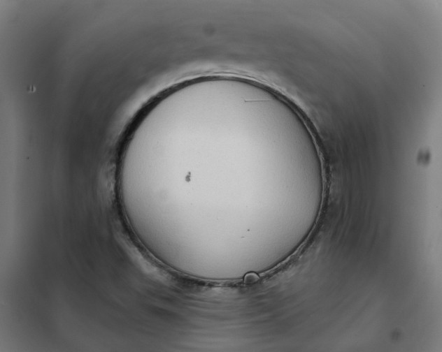 X0000101701503200807241420