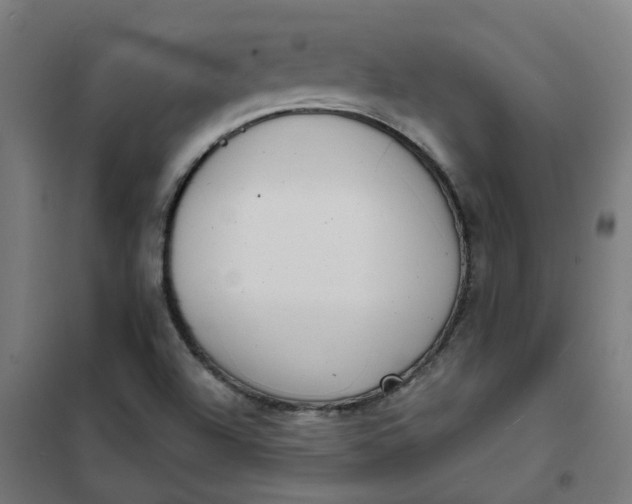 X0000101701504200807241420