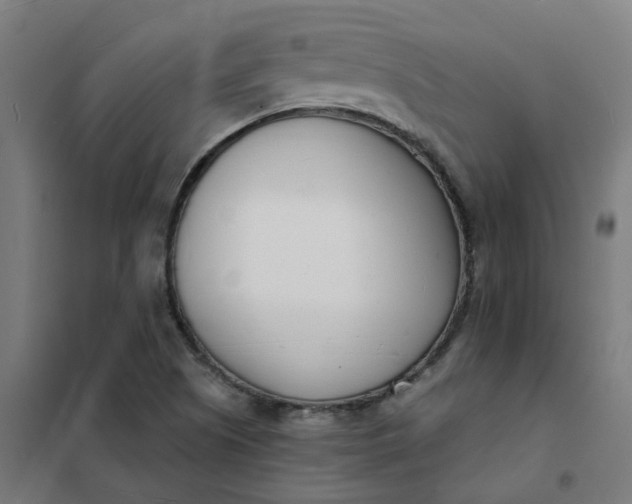 X0000101701505200807241420