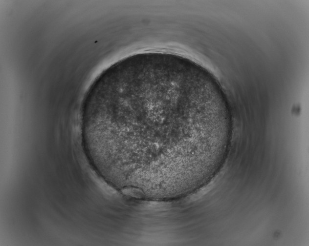 X0000101701506200807241420