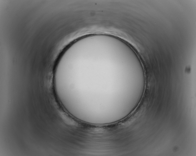 X0000101701507200807241420