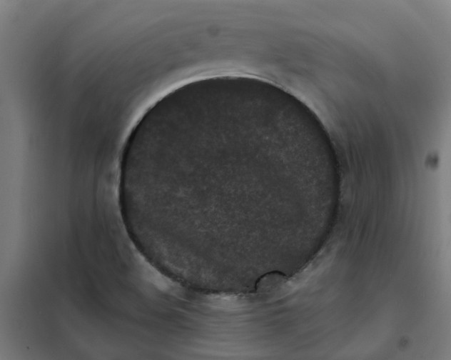 X0000101701508200807241420