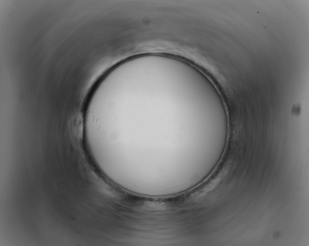 X0000101701509200807241420