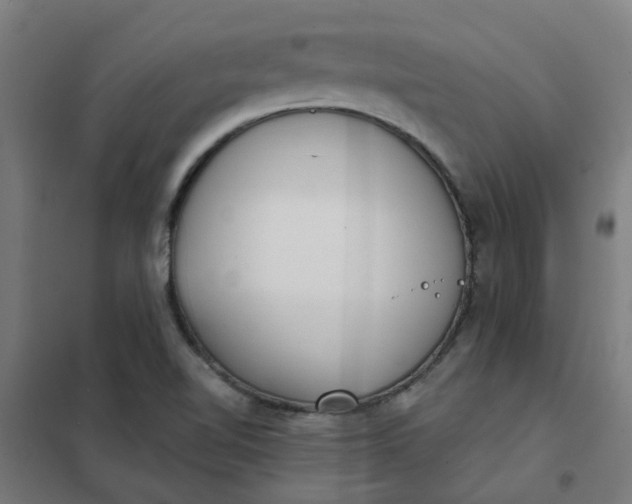 X0000101701510200807241420