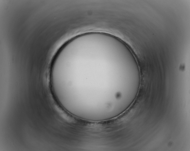 X0000101701511200807241420