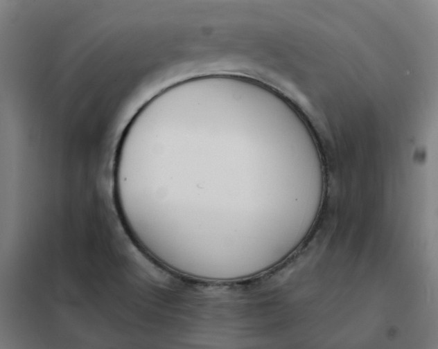 X0000101701512200807241420