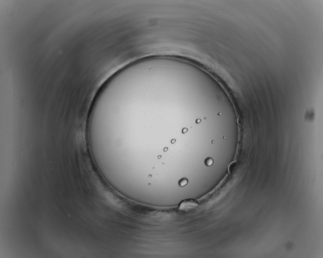 X0000101701513200807241420