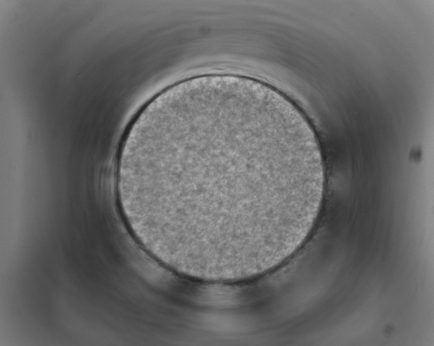 X0000101701514200807241420