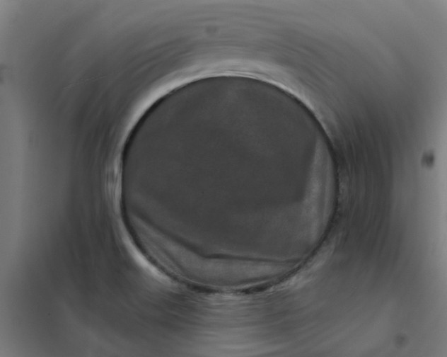 X0000101701515200807241420