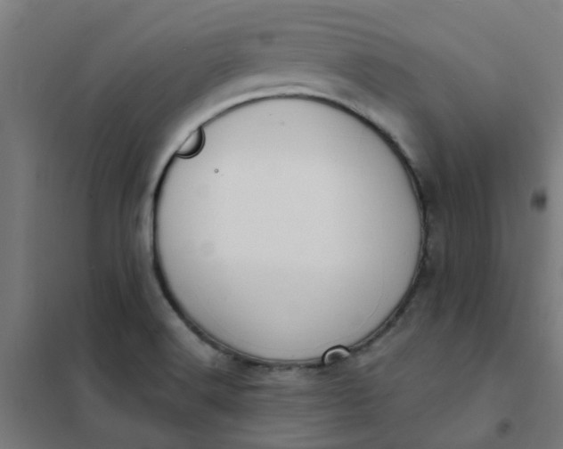 X0000101701516200807241420