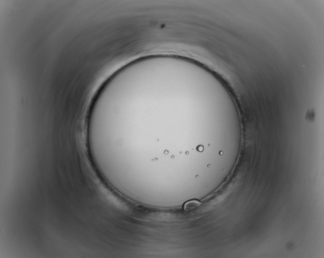 X0000101701517200807241420