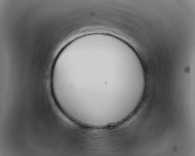 X0000101701518200807241420