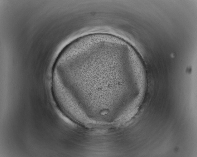 X0000101701519200807241420