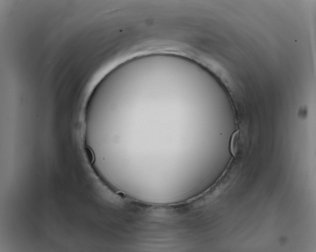 X0000101701520200807241420