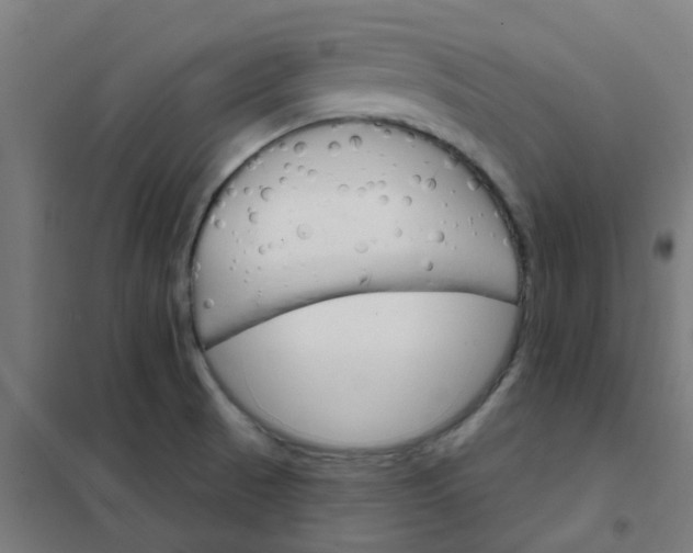 X0000101701521200807241420