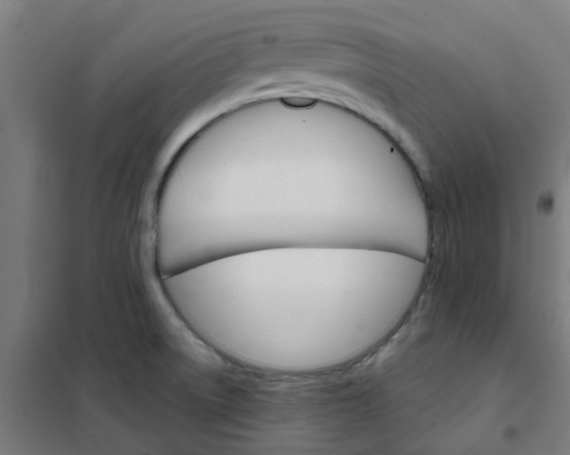 X0000101701522200807241420