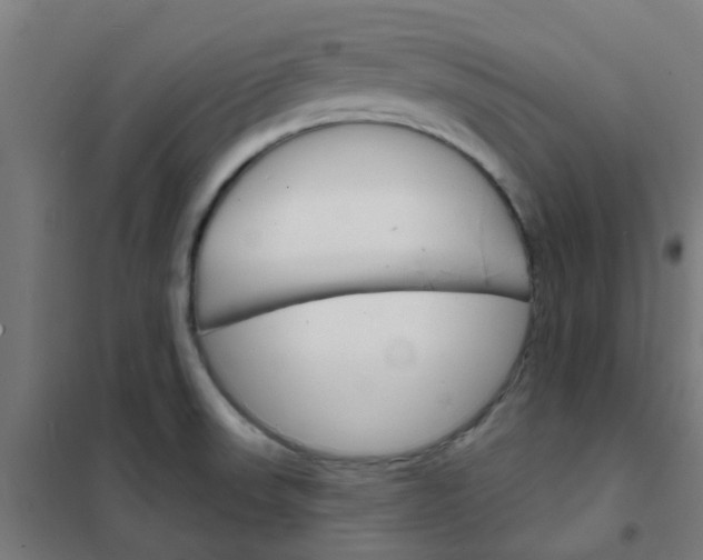 X0000101701523200807241420