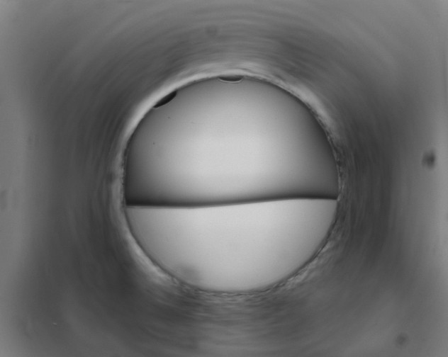 X0000101701524200807241420