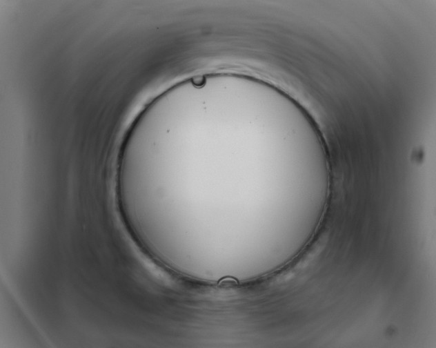 X0000101701525200807241420